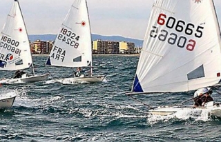  organización de regatas